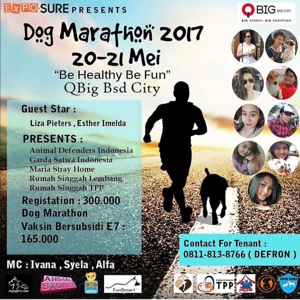 Dog Marathon