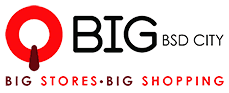 QBig BSD City